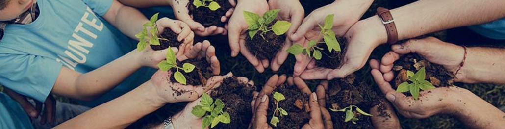 برنامه توانمندسازی